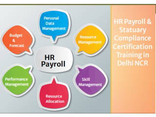 HR Payroll Training, Free HR Analyst Course, Best Institute in Delhi, Noida, Gurgaon, 100% Job, HR Generalist Certification,