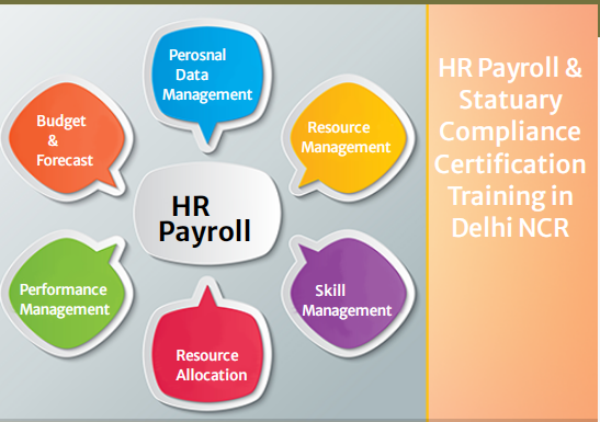 hr-payroll-training-free-hr-analyst-course-best-institute-in-delhi-noida-gurgaon-100-job-hr-generalist-certification-big-0