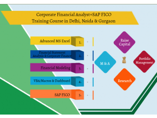 Online Financial Analyst Training Course in Delhi, Noida, SLA Data Modelling Classes, Equity, Valuation, Corporate Finance Certification,