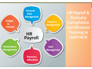 Short Term HR Generalist Course in Delhi, SLA Human Resource Institute, South Delhi, HR Analytics, Payroll Training Certification,