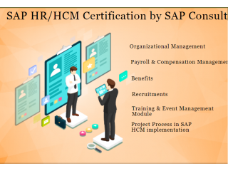 HR Training in Delhi, Rajender Nagar, SLA Human Resource  Institute, Payroll, Analytics, SAP HCM Certification Course,