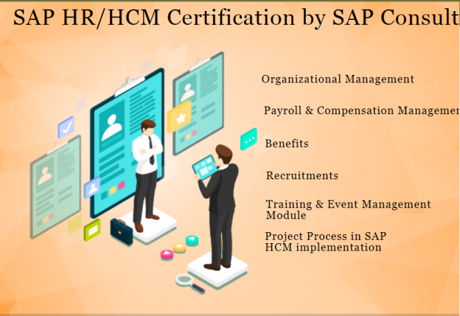 hr-training-in-delhi-rajender-nagar-sla-human-resource-institute-payroll-analytics-sap-hcm-certification-course-big-0
