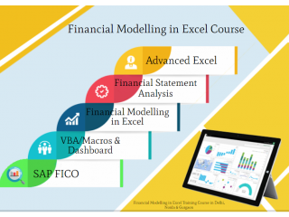 Financial Modeling Classes,100% Financial Analyst Job, Salary Upto 6 LPA, SLA Consultants, Delhi. Noida, Ghaziabad.