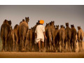 hidden-treasures-of-india-rajasthan-tour-packages-small-0