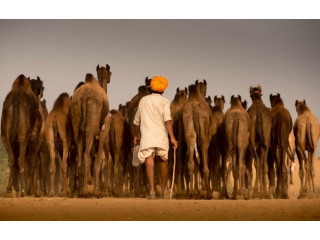 Hidden Treasures of India - Rajasthan Tour Packages