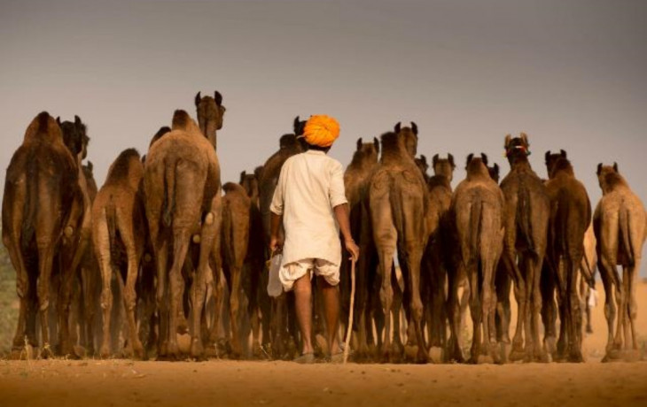 hidden-treasures-of-india-rajasthan-tour-packages-big-0