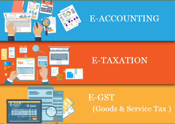 e-accounting-certification-in-delhi-shahdara-sla-taxation-classes-sap-fico-tally-gst-training-course-big-0