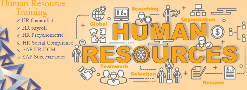 best-hr-course-in-delhi-mayur-vihar-sla-human-resource-institute-sap-hcm-payroll-training-certification-big-0