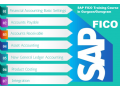 sap-fico-institute-in-delhi-dwarka-sla-sap-course-best-accounting-training-certification-small-0