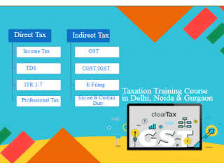 Taxation Course in  Delhi, Noida, Ghaziabad with Tally and SAP FICO Software Certification By CA