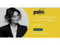 learn-business-analytics-course-palin-analytics-small-0