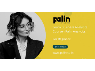 Learn Business Analytics Course -  Palin Analytics