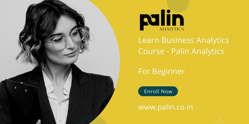 learn-business-analytics-course-palin-analytics-big-0