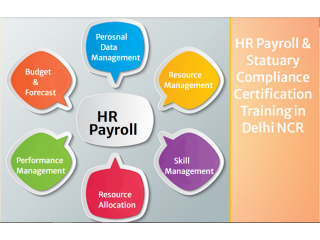 HR Payroll Training Course in Delhi, SLA SAP HCM Institute, SmartHR Payroll Software Certification