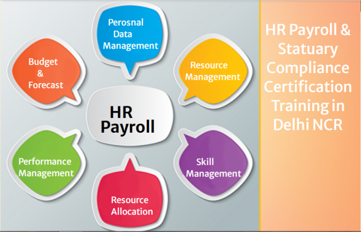 hr-payroll-training-course-in-delhi-sla-sap-hcm-institute-smarthr-payroll-software-certification-big-0