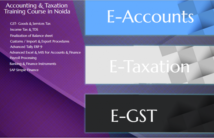 accounting-course-in-noida-sla-taxation-classes-online-gst-tally-sap-fico-training-big-0