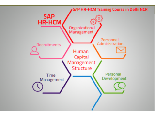 SAP HCM Certification in Delhi, Preet Vihar, SLA Classes, HR Generalist,  Human Resource Training Course,
