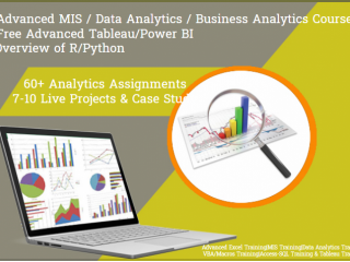 MIS Training Course, Preet Vihar, Delhi, SLA Analytics, Excel Classes, SQL / VBA, Python, Power BI Institute,