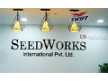 vegetable-seeds-manufacturers-in-india-seedworks-small-0