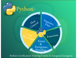 Best Data Science Courses in Python, R, SQL, Power BI, and More