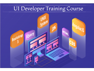 UI Course in Noida, SLA Training Institute, Web Designing Certification,
