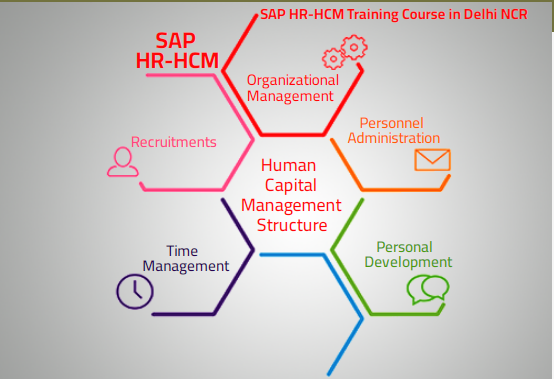 8-top-hr-course-sap-hcm-hr-payroll-courses-for-beginners-to-check-out-right-away-big-0