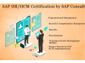 sap-hr-hcm-training-certification-in-delhi-noida-ghaziabad-sla-institute-visual-pay-payroll-course-small-0