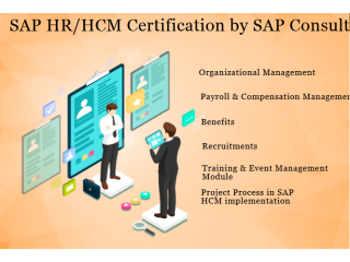 SAP HR HCM Training Certification in Delhi, Noida, Ghaziabad, SLA Institute, Visual Pay Payroll Course