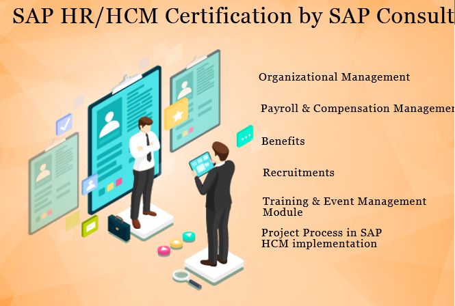 sap-hr-hcm-training-certification-in-delhi-noida-ghaziabad-sla-institute-visual-pay-payroll-course-big-0