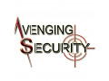 digital-marketing-company-near-me-avenging-security-small-0