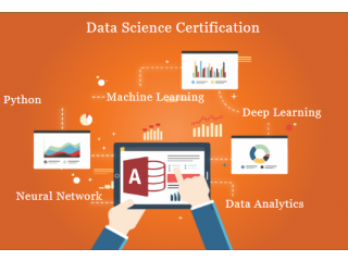 What is Data Scientist? Know Skills, Roles, Salary, Career