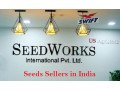 seeds-sellers-in-india-seedworks-small-0