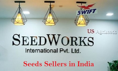 seeds-sellers-in-india-seedworks-big-0