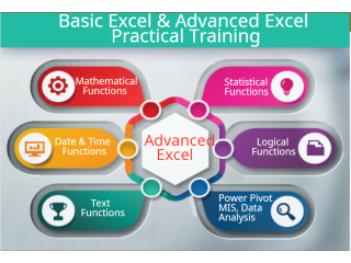 Best Microsoft Excel Training in Noida, Ghaziabad, Data Analysis in Advanced Excel Certification Course,