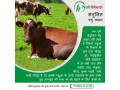 silage-manufacturers-in-india-small-0