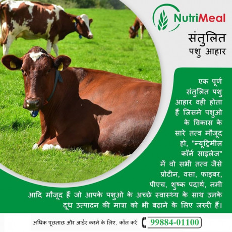 silage-manufacturers-in-india-big-0