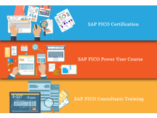 Complete SAP FICO Course & Certification - SLA Consultants Delhi