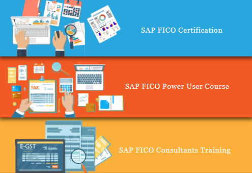 complete-sap-fico-course-certification-sla-consultants-delhi-big-0