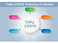 tally-classes-in-noida-faridabad-sla-accounting-institute-erp-prime-training-gst-certification-small-0