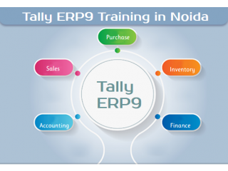 Tally Classes in Noida, Faridabad, SLA Accounting Institute, ERP, Prime Training, GST Certification,