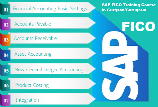 sap-finance-certification-course-in-delhi-noida-ghaziabad-with-tally-and-sap-fico-software-by-ca-big-0