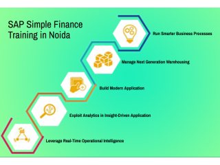 SAP FICO Certification in Noida, SAP Institute, SAP Hana Finance, GST Training Course,