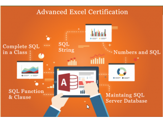 Online Excel & MIS training courses - Delhi & Noida Training Institute, 100% Job,