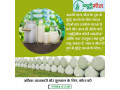 silage-factory-punjab-small-0