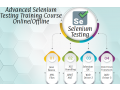 automation-testing-course-in-delhi-selenium-certification-small-0