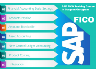 Best SAP FICO Course, 100% Job, Salary upto 6.5 LPA, Accounting Training Classes,SLA Consultants, Delhi, Noida, Ghaziabad.