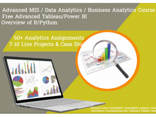 Top MIS Training Course, Geeta Colony, Delhi,  SLA Analytics Learning, SQL / VBA, Python, Power BI, Excel Institute,