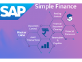 sap-finance-course-in-delhi-faridabad-sla-finance-institute-gst-sap-finance-certification-bat-training-classes-small-0