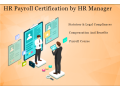 hr-payroll-training-institute-in-laxmi-nagar-shakarpur-mayur-vihar-delhi-sla-institute-sap-hcm-hr-analytics-with-100-job-small-0