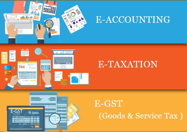 accounting-course-in-laxmi-nagar-delhi-job-guarantee-course-sla-consultants-big-0